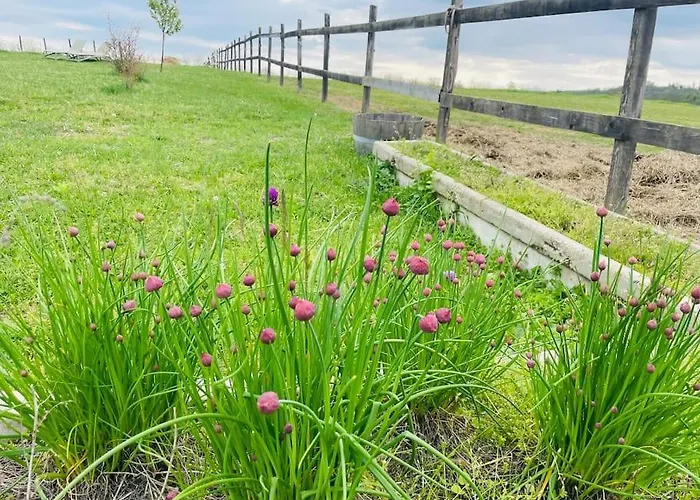 בית נופש Mimi Vendeghaz בלטונללה